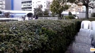 国产色老妇在线精品,国产精品免费大片一区二区高清